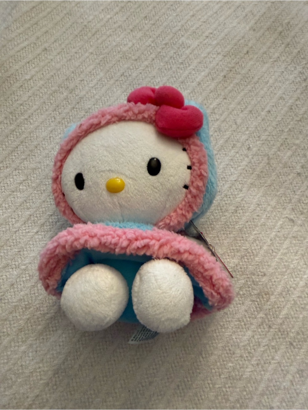 Sanrio Blue and Pink Plush Character